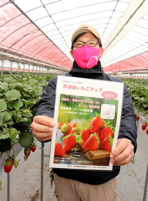 姫路駅前でイチゴの販売会を企画するＪＡ兵庫西イチゴ部会の田邊貴之さん＝佐用町横坂