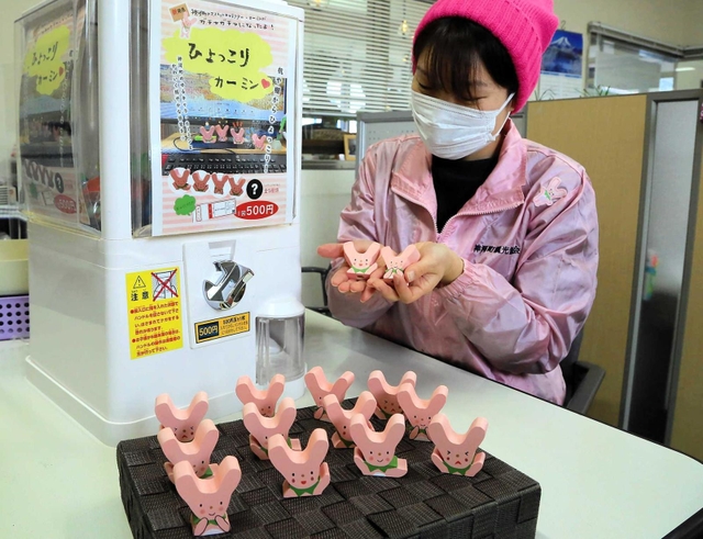 カプセルトイ販売機「ひょっこりカーミン」とカーミンの置物＝神河町観光協会