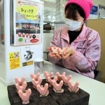 カプセルトイ販売機「ひょっこりカーミン」とカーミンの置物＝神河町観光協会