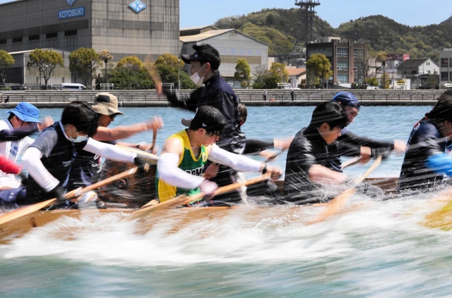 練習で水を切るように進む磯風漕友会の選手＝相生湾（撮影・大山伸一郎）