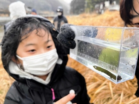 わずか数センチの幼生も観察する参加者＝佐用町内