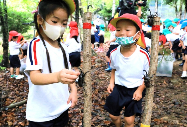 カブトムシに触れる子どもたち＝市川町下牛尾