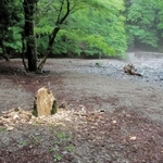 人が傷つけたとみられる樹木。自然環境の悪化が懸念される＝宍粟市波賀町原（市提供）