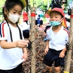 カブトムシに触れる子どもたち＝市川町下牛尾