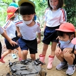 カブトムシに触れる子どもたち＝市川町下牛尾