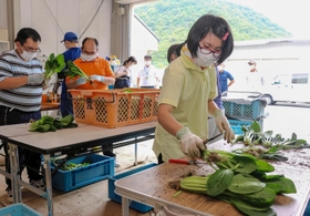 採れたての小松菜の出荷作業を進める障害者ら＝赤穂市大津
