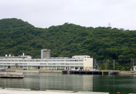 甲崎古墳が見つかった相生湾に臨む尾根。中央部の小高い場所にある（相生市立歴史民俗資料館提供）