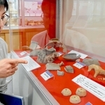 疫病よけに使われたとみられる土馬などの展示＝有年考古館