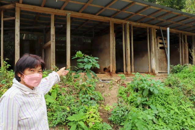 犬が飼われていた牛舎と飼い主の田邊美代子さん＝佐用町口金近