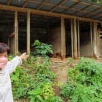 犬が飼われていた牛舎と飼い主の田邊美代子さん＝佐用町口金近