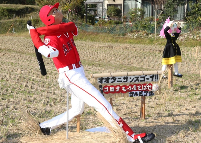 大谷翔平選手などのかかしが並ぶ会場＝相生市矢野町瓜生