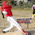 大谷翔平選手などのかかしが並ぶ会場＝相生市矢野町瓜生