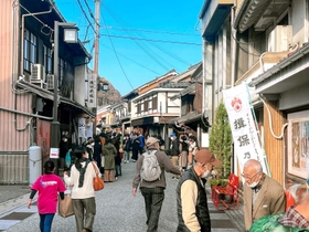 １１月１９、２０日の２日間、城下町がにぎわった「オータムフェスティバル」＝たつの市龍野町下川原