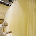 細く、白く輝くそうめんを箸でより分ける作業＝宍粟市一宮町西深