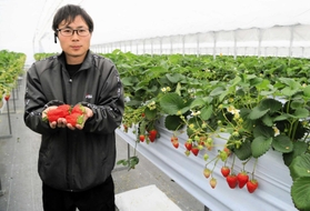 イチゴ園「にっしーＦａｒｍ」を開いた西尾涼平さん＝市川町北田中