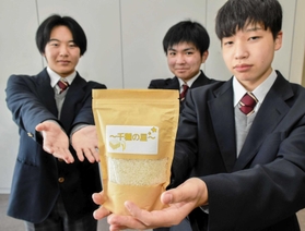 千種高校の生徒らが育てたコシヒカリ。「千種の星」として販売する＝宍粟市千種町千草