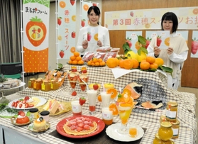 ３年目を迎えた赤穂スイーツのお披露目会＝赤穂市役所