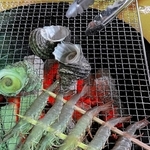 バーベキューではカキ以外の魚介類も楽しめる＝たつの市御津町