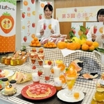 ３年目を迎えた赤穂スイーツのお披露目会＝赤穂市役所