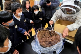 ハチの巣を解体する様子を見つめる児童＝神崎小学校