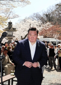 桜咲く境内であいさつに立つ宮城野親方＝たつの市龍野町中霞城