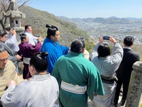 野見宿禰神社から龍野城下を見下ろす宮城野親方と弟子の力士ら＝たつの市龍野町北龍野
