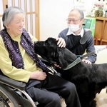 ）「わんにゃんスタッフ」のイヌと触れ合う利用者＝佐用町志文