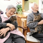 寒い朝晩は特に、ネコの抱っこが喜ばれるという＝佐用町志文