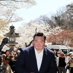 桜咲く境内であいさつに立つ宮城野親方＝たつの市龍野町中霞城