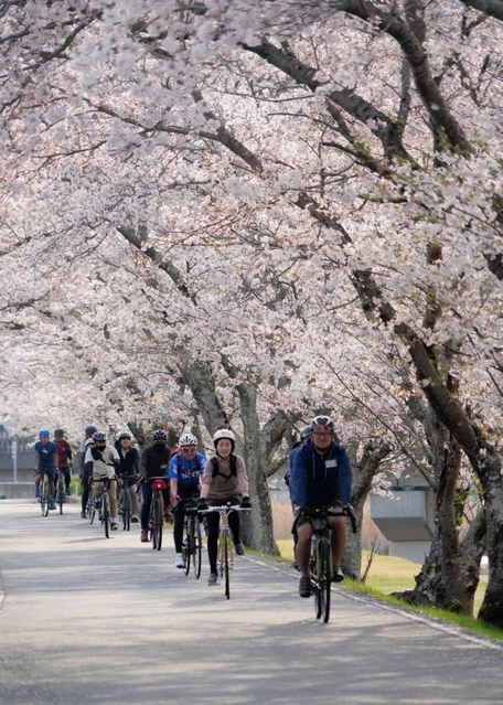 桜が満開の千種川沿いで開かれた桜回廊堪能ツアー＝上郡町（安則真一さん提供）
