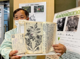 牧野富太郎から大上宇市に宛てたはがき（左）と大上のコヤスノキのスケッチを手にする義則敏彦専門員＝たつの市龍野町上霞城