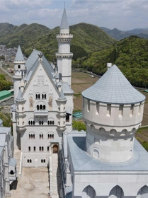 再現度の高さが目を引く精緻な建築意匠（ドローンで撮影）＝姫路市打越