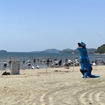 新舞子浜で開催するティラノサウルスレースのイメージ（不徹寺提供）