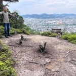 野見宿禰神社がある山の中腹に立つ岸本道昭さん＝たつの市龍野町