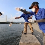 仕掛けを投げ入れていくボランティアの男性ら＝赤穂市中広（撮影・辰巳直之）
