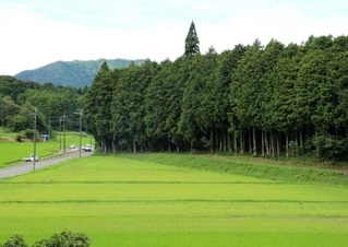 ごみ処理施設の建設計画が進む地域。小さな集落も生き残りをかける＝市川町浅野