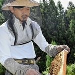 ハチミツを採取する養蜂家の田中啓介さん＝宍粟市一宮町