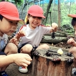 カブトムシを並べて観察する子どもたち＝リフレッシュパーク市川