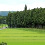 ごみ処理施設の建設計画が進む地域。小さな集落も生き残りをかける＝市川町浅野
