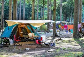 林の中に設営されたテント。キャンプブームに伴い利用者も急増している＝宍粟市波賀町鹿伏、くるみの里キャンプ場