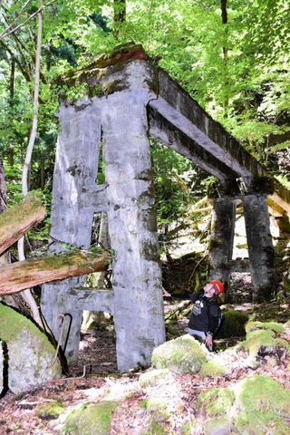 山の中に残る橋脚。大部分が崩れたが、波賀森林鉄道の往時をしのばせる遺構だ＝宍粟市波賀町音水
