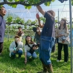 住民とのグループワークの前に、町内を見学して回った佐藤教授とゼミ生ら（上郡町提供）