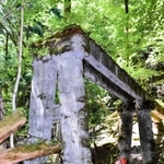 山の中に残る橋脚。大部分が崩れたが、波賀森林鉄道の往時をしのばせる遺構だ＝宍粟市波賀町音水