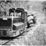 波賀森林鉄道の機関車（兵庫森林管理署提供）