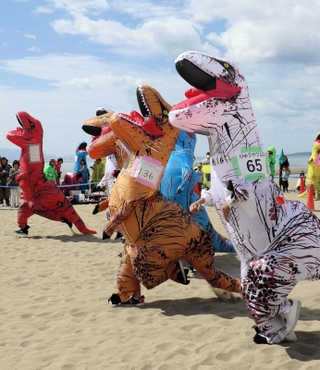 恐竜の着ぐるみを着て競争するティラノサウルスレース＝たつの市御津町黒崎