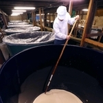 新酒の仕込み作業が進む老松酒造の酒蔵。タンク内のもろみを櫂棒でかき混ぜる杜氏＝宍粟市山崎町山崎（撮影・辰巳直之）