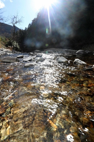 山間部を流れる越知川。底が見えるほど澄みきっている＝神河町越知（撮影・辰巳直之）