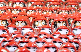 本堂にずらりと並ぶ「福だるま」＝福崎町高岡、応聖寺