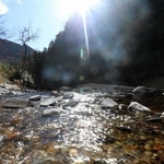 山間部を流れる越知川。底が見えるほど澄みきっている＝神河町越知（撮影・辰巳直之）