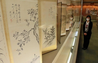旧赤穂郡出身の絵師らが絵を描いた屛風や掛け軸が並ぶ会場＝赤穂市御崎、市立美術工芸館・田淵記念館
